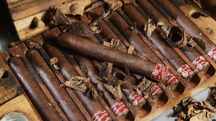 Cigar Rocky Patel Edge Sumatra 12