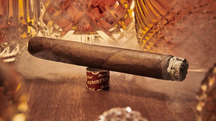 Cigar Rocky Patel Edge Sumatra 14