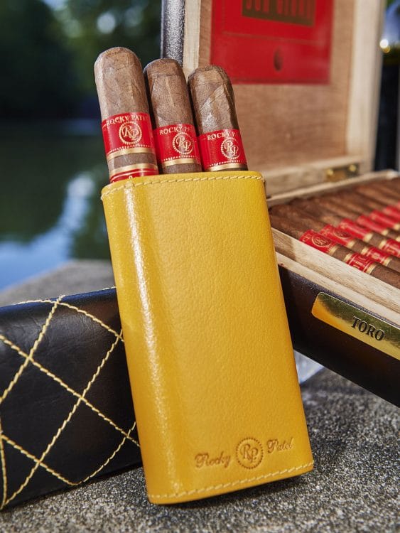 Cigar Rocky Patel Sun Grown 17