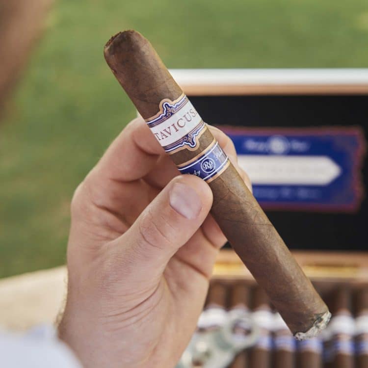 Cigar Rocky Patel Tavicusa 3 Cigar Rocky Patel Tavicusa 3
