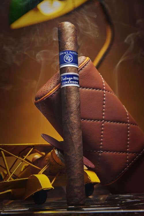 Cigar Rocky Patel Vintage 2003 20