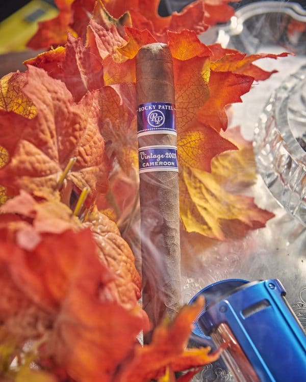 Cigar Rocky Patel Vintage 2003 3