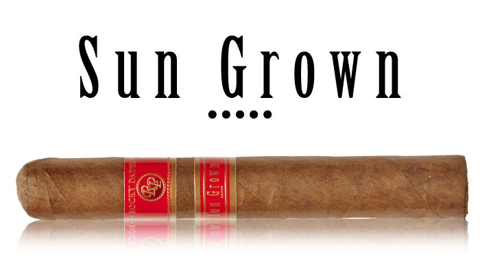 Rocky-Patel-Cigar-Brand-Sun-Grown-700x400