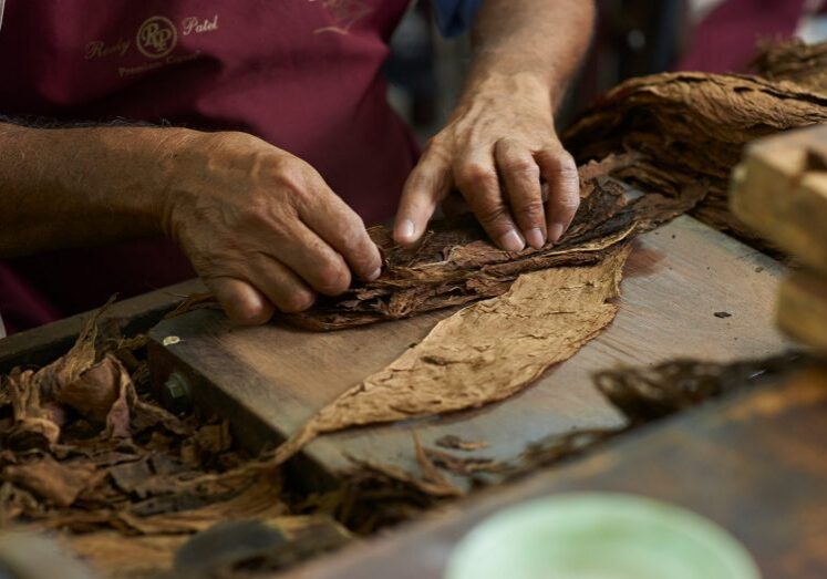 Filler-tobacco-1536x1071