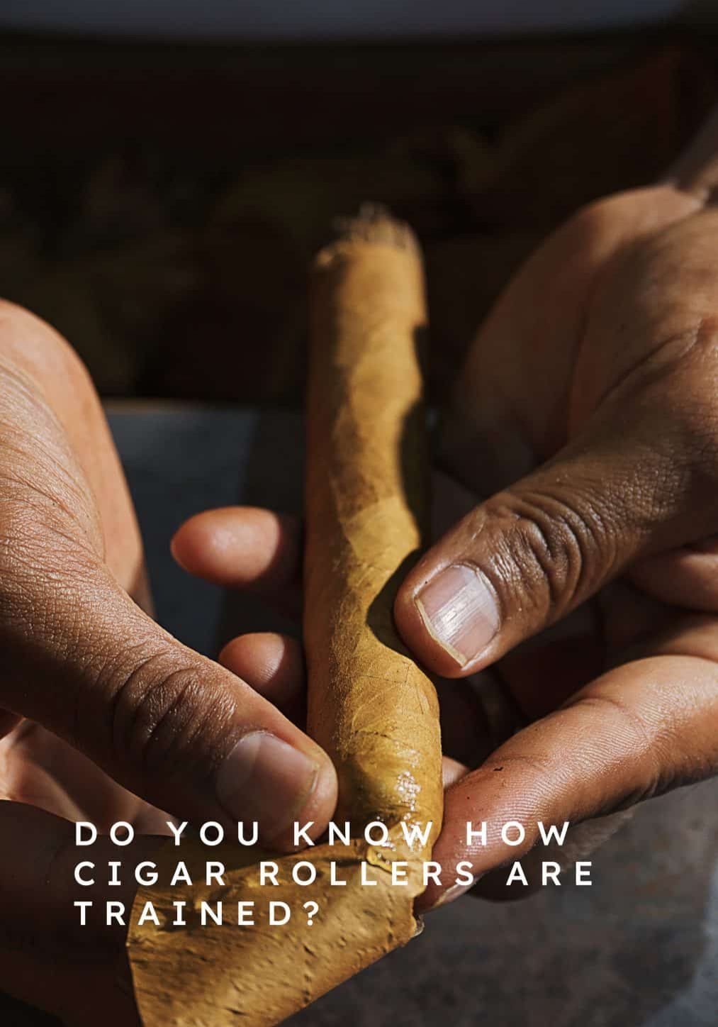 RP_26+-01-30_Q&A Graphics_Cigar Talk 8