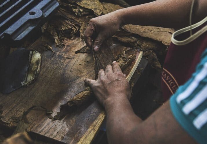 RP_Nicaragua_DSC9076