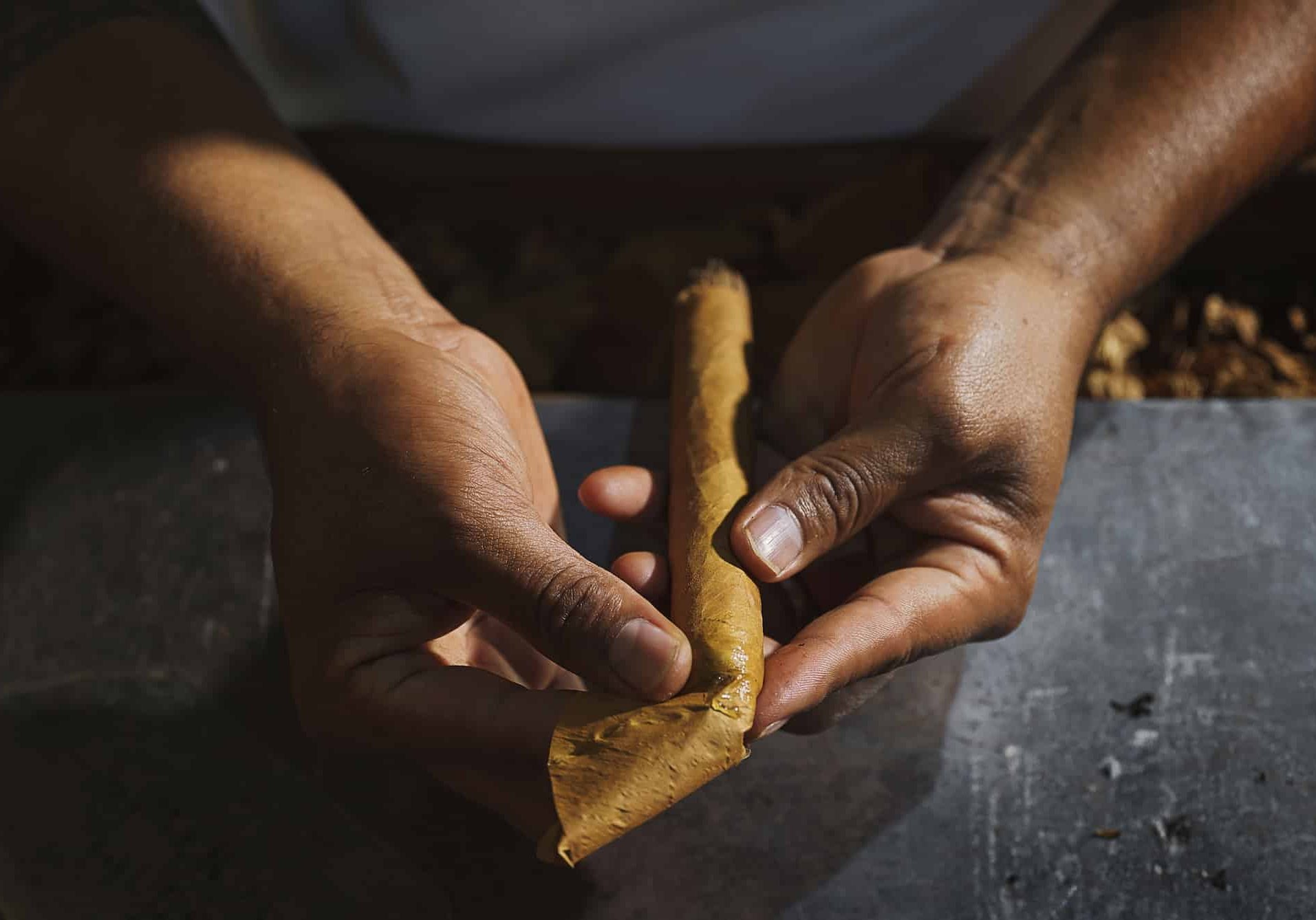 Rolling Cigar Wrapper Rocky Patel